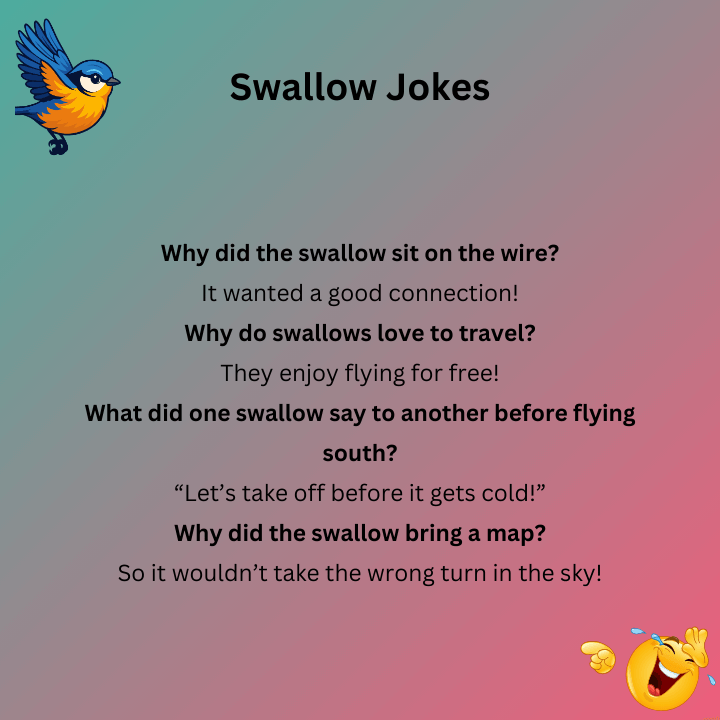 Swallow Jokes