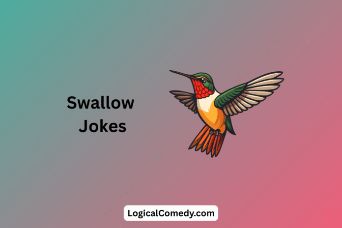 Swallow Jokes