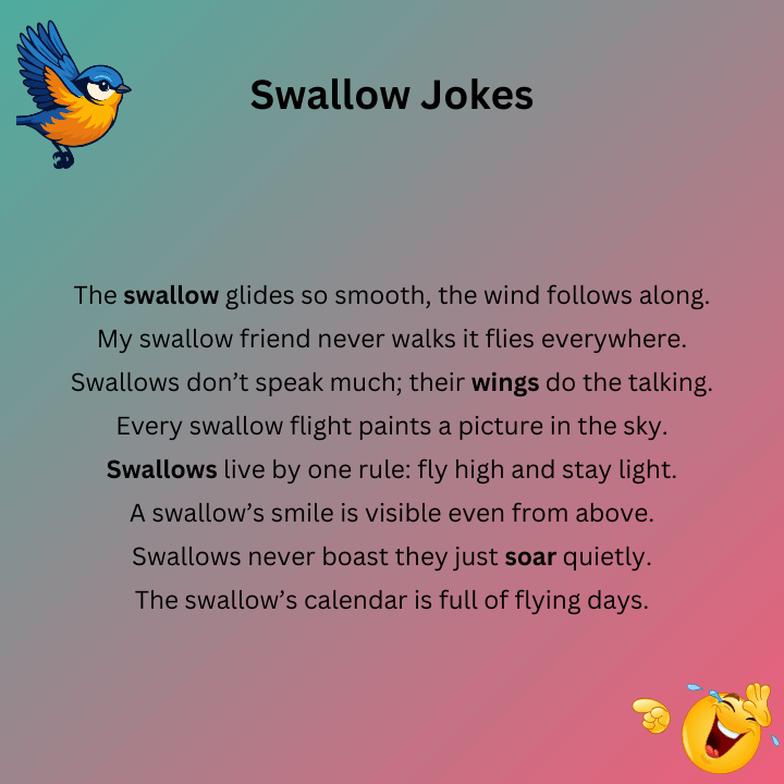 Swallow Jokes One Liners