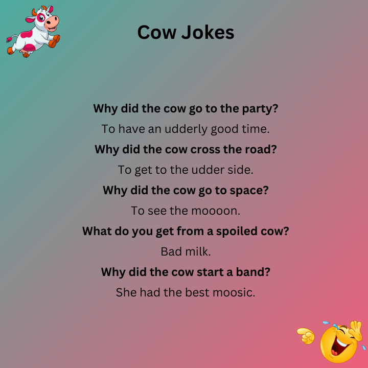 Cow Funnies