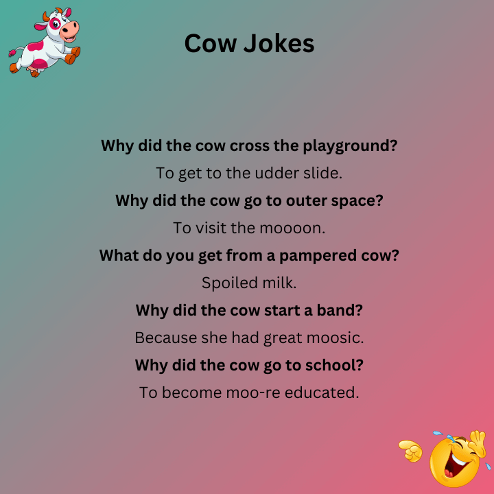 Cow Funny Jokes