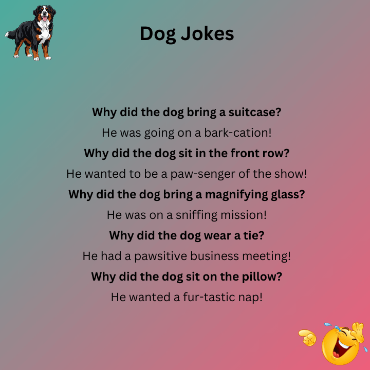 Dog Jokes Funny