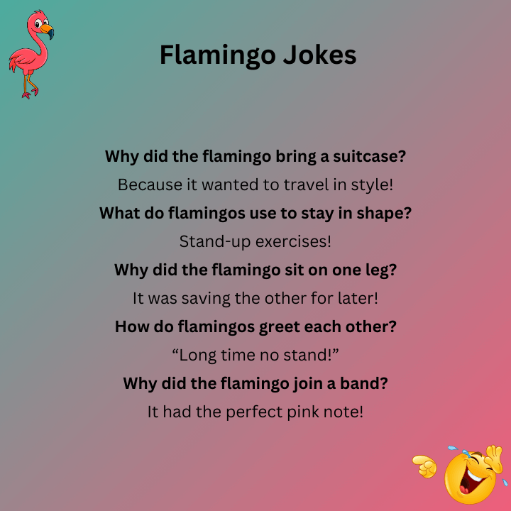 Flamingo Jokes
