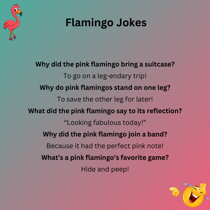 Pink Flamingo Jokes
