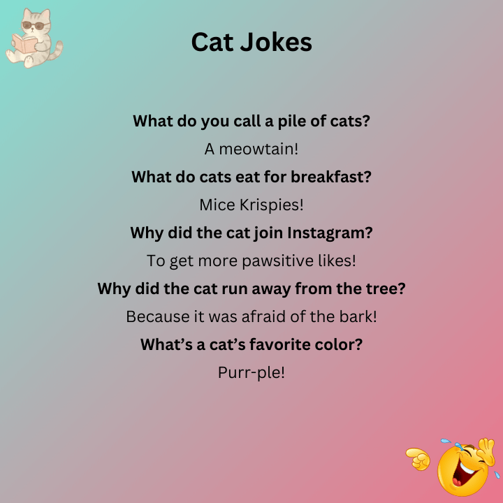 Cat Jokes