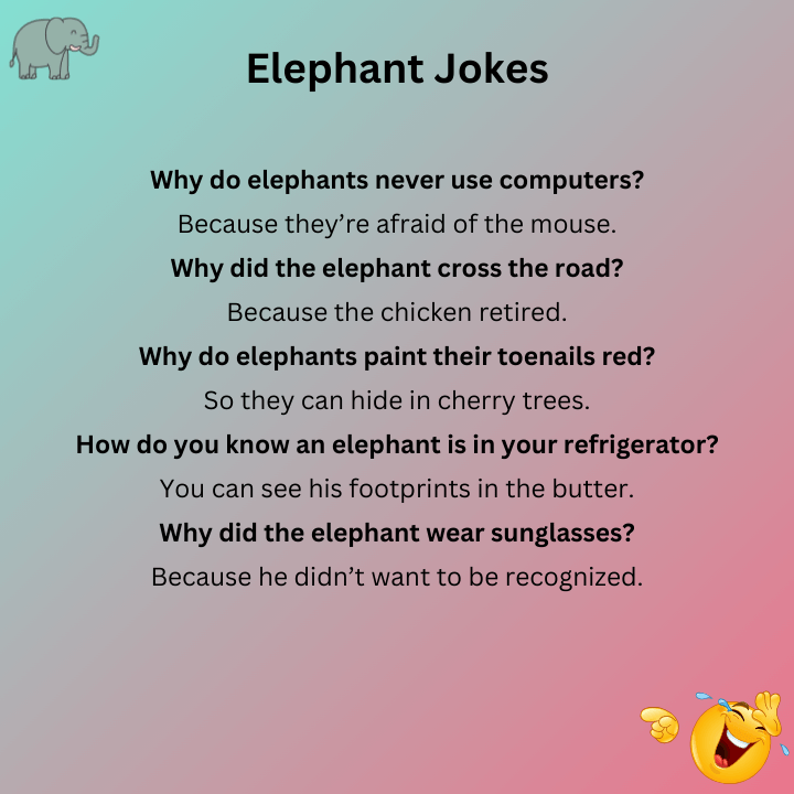 Elephant Jokes