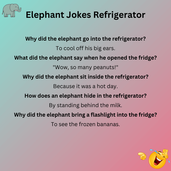 Elephant Jokes Refrigerator