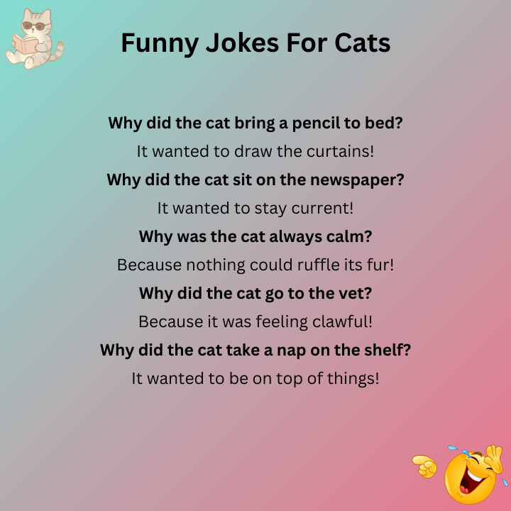 Funny Jokes For Cats
