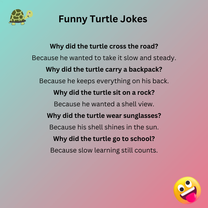 Funny Turtle Jokes