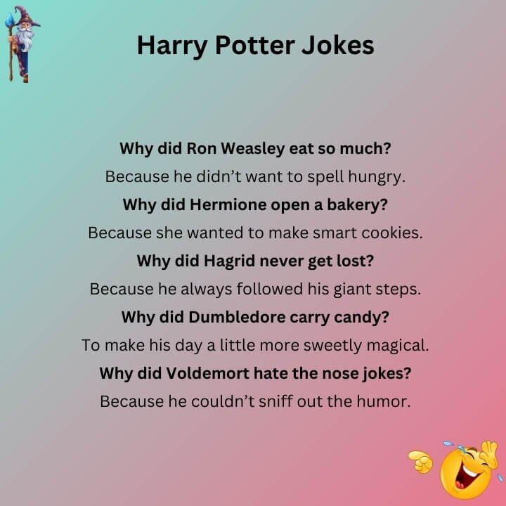 Harry Potter Dad Jokes