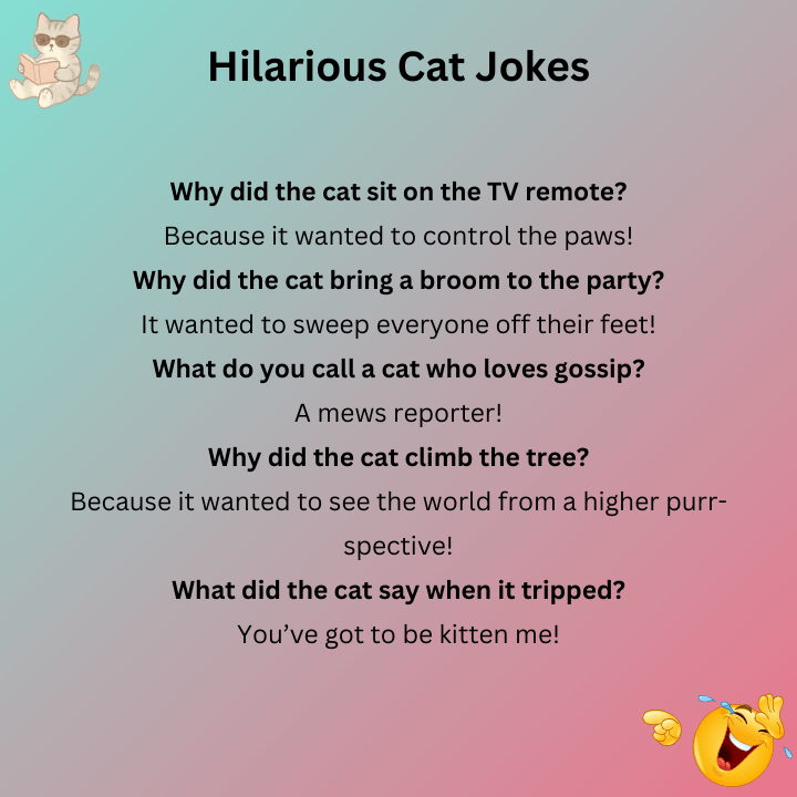Hilarious Cat Jokes