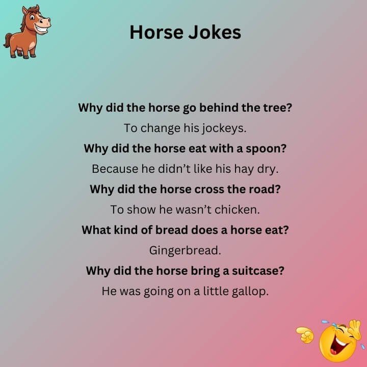 Horse Jokes