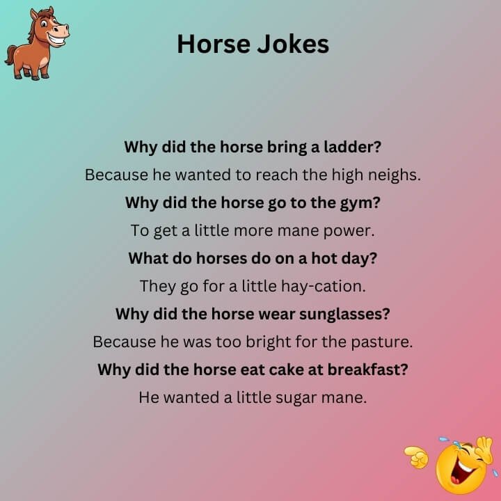 Horse Jokes Funny