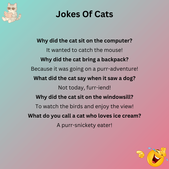 Jokes Of Cats