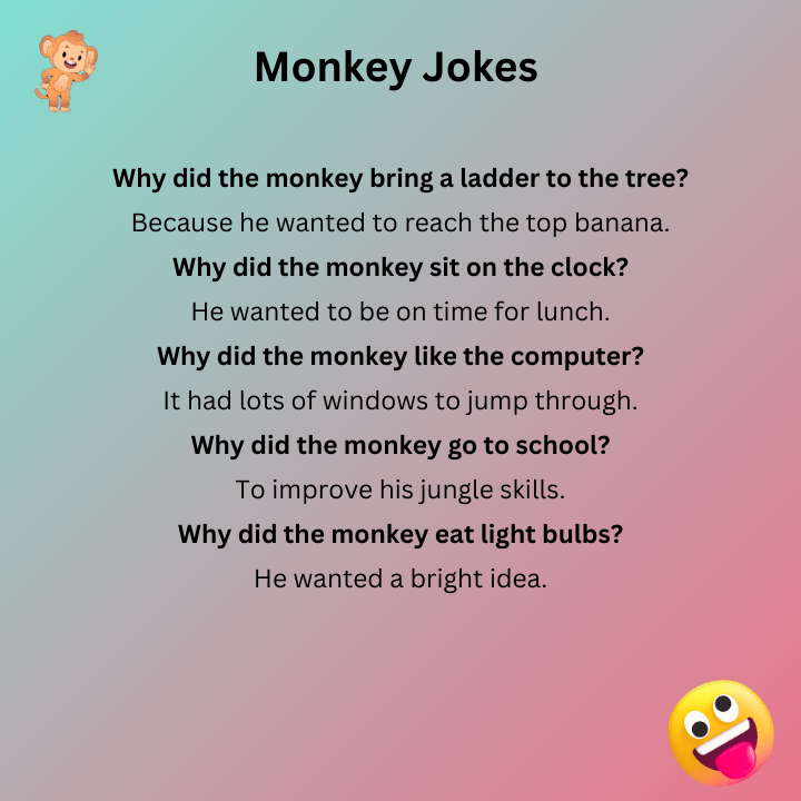 Monkey Jokes