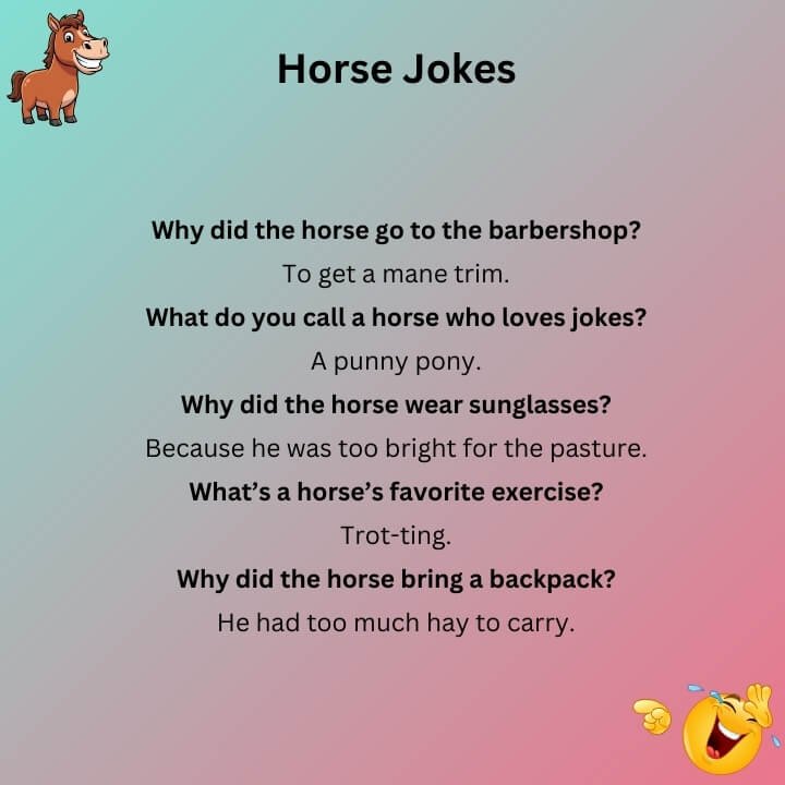 One Liner Horse Jokes
