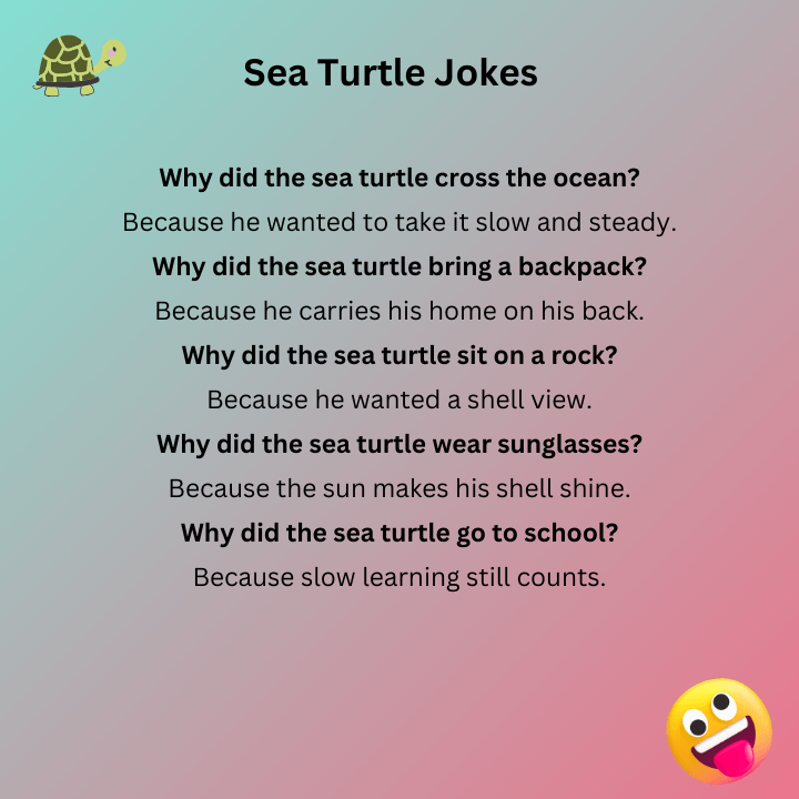 Sea Turtle Jokes