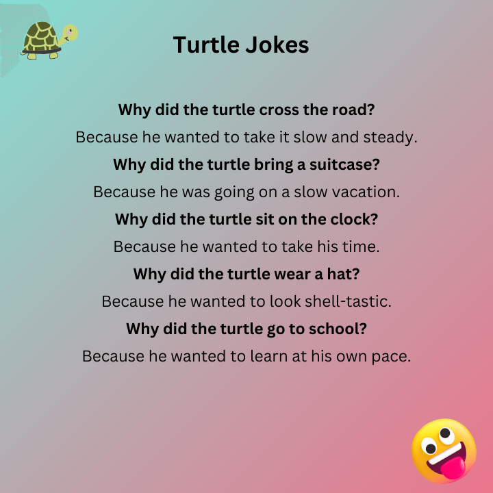 Turtle Jokes