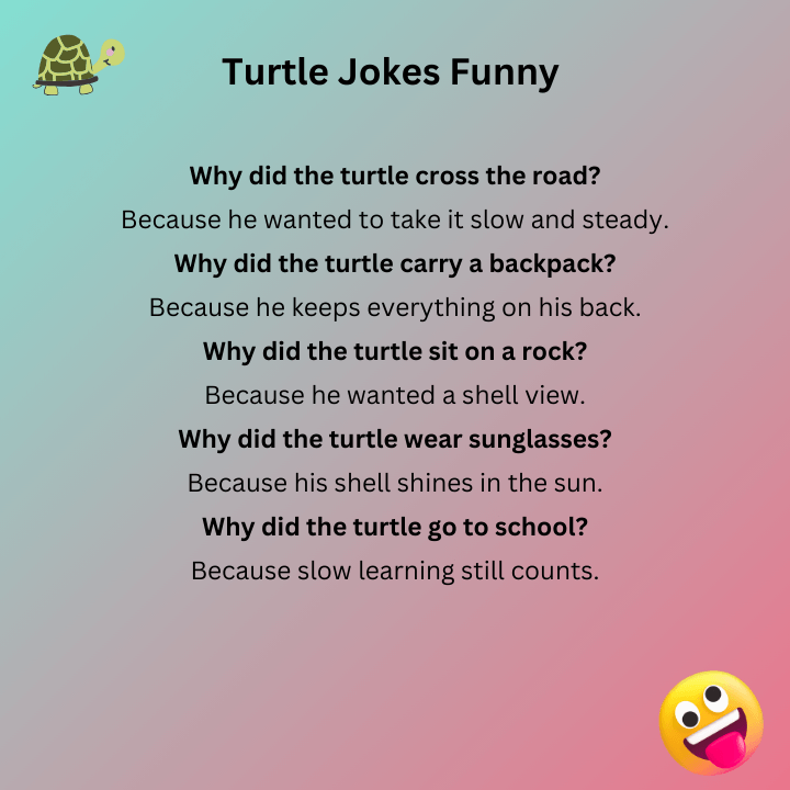 Turtle Jokes Funny