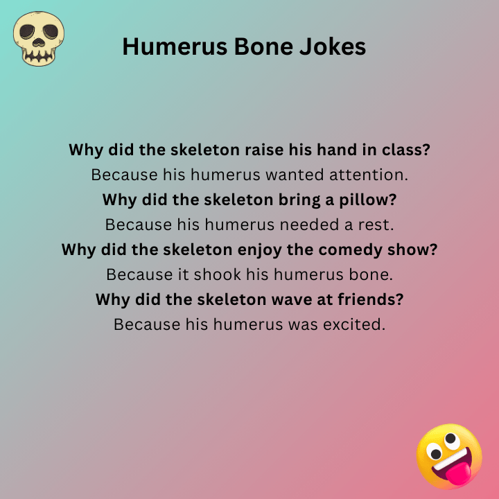 Humerus Bone Jokes