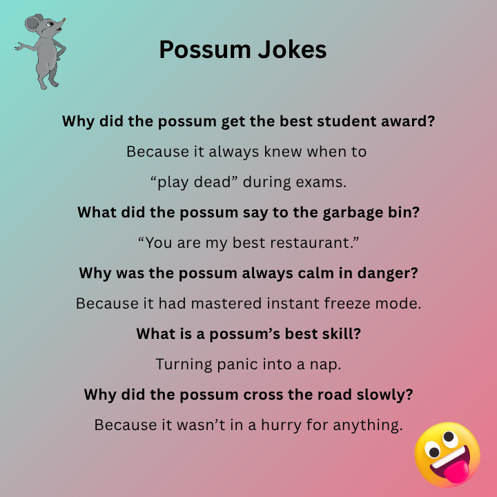 Best Possum Jokes