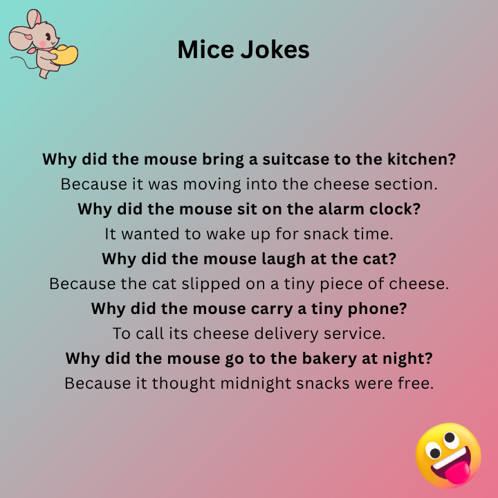 Funny Mice Jokes