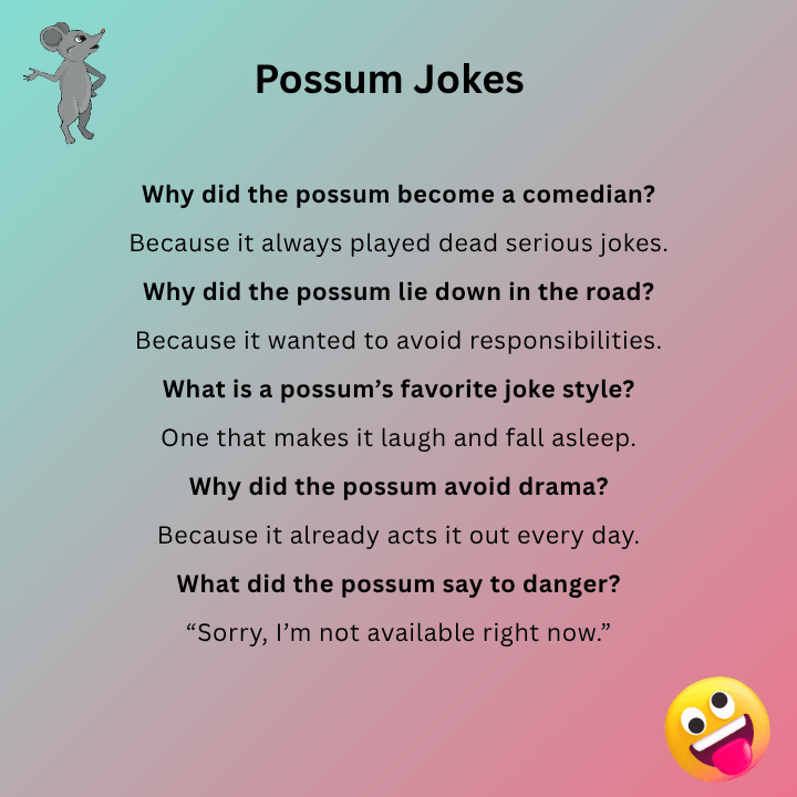 Funny Possum Jokes