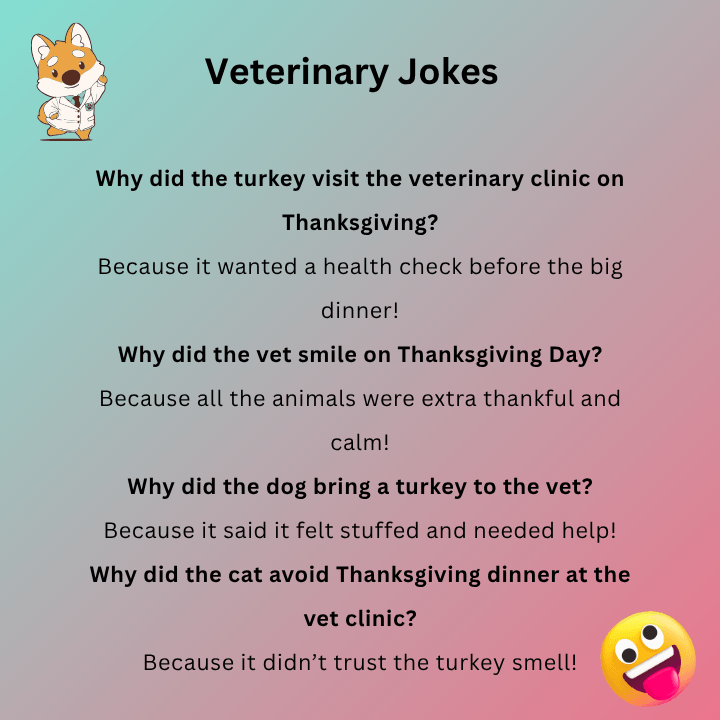 Funny Veterinary Jokes