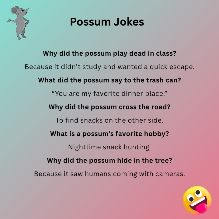 Possum Jokes