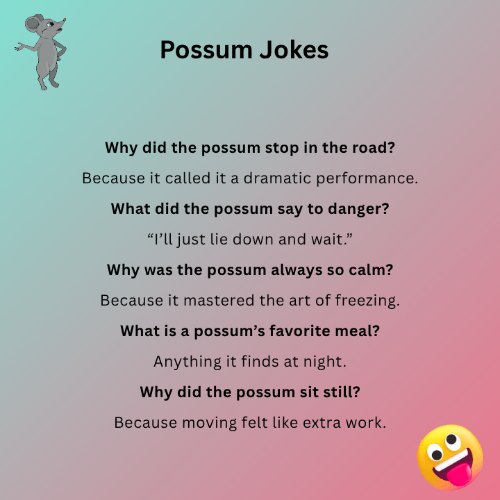 Possum Jokes One Liners
