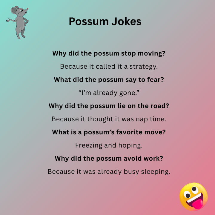 Short Possum Jokes