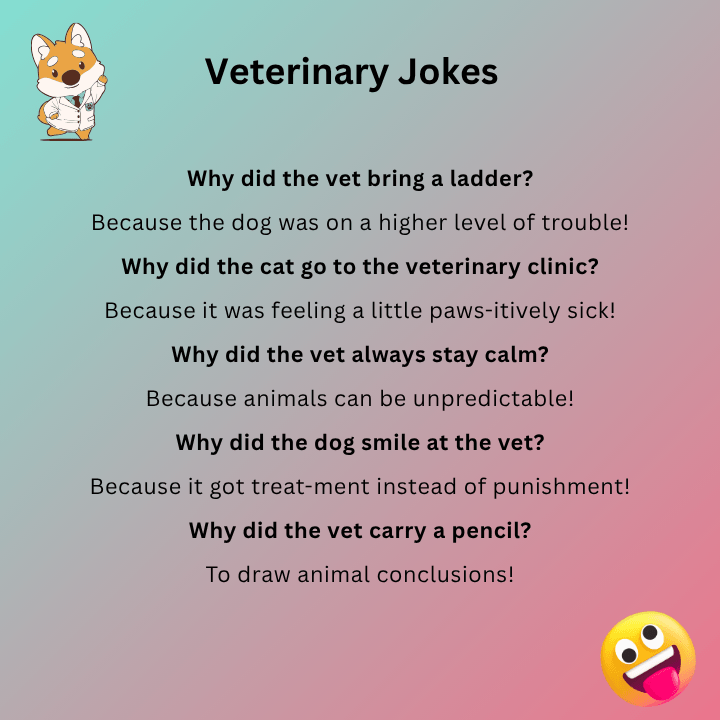Veterinary Jokes